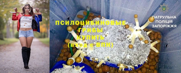 соль курить ск Белокуриха