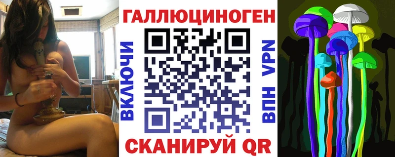 Псилоцибиновые грибы Psilocybe  Шумиха 